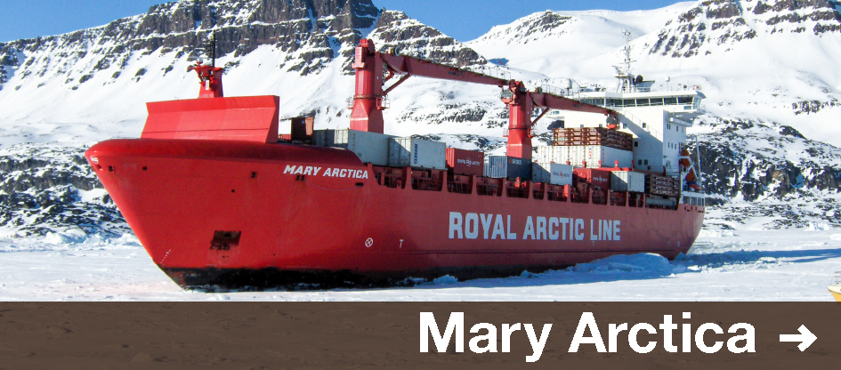 Mary Arctica