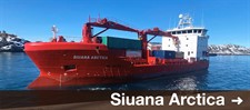 Siuana Arctica